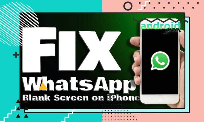 WhatsApp Blank Screen WhatsApp Blank Screen